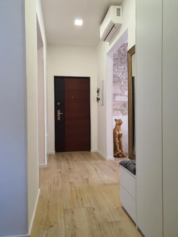 Connor Daire Pula Dış mekan fotoğraf